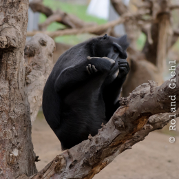 Vivarium_2011-12-26__04