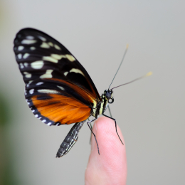 Vivarium_2011-12-26__22