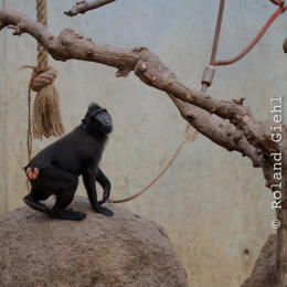 Vivarium_2011-12-26__02