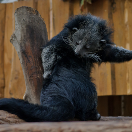 Vivarium_2011-12-26__08