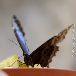 Vivarium_2011-12-26__18