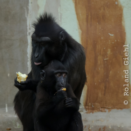 Vivarium_2011-12-26__01