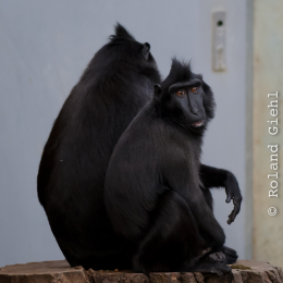 Vivarium_2011-12-26__03