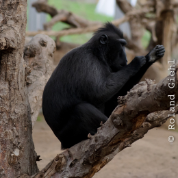 Vivarium_2011-12-26__05