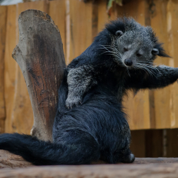 Vivarium_2011-12-26__07