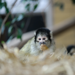 Vivarium_20130217-006