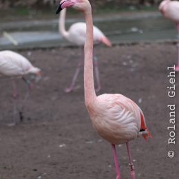 Vivarium_20130217-017