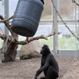 Vivarium_20130217-004