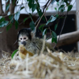 Vivarium_20130217-005