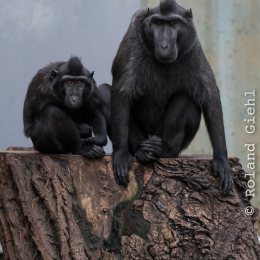 Vivarium_20130217-003