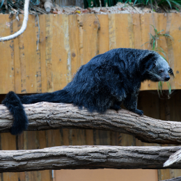 Vivarium_20120101-001