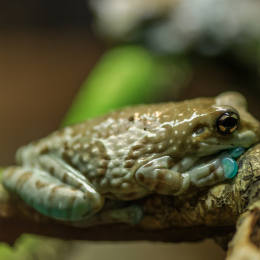 Vivarium_20120101-014