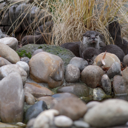 Vivarium_20120101-012