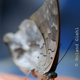 Vivarium_20120101-007