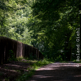 Tierpark_Weilburg_20200531_0004