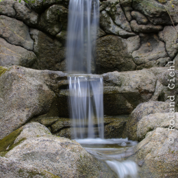 zoo_frankfurt_2011-04-15_34