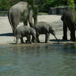 Hamburg_20160507_409