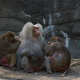Hamburg_20160507_532