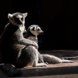 Hamburg_20160507_293