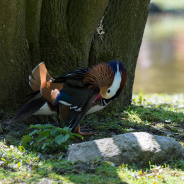Hamburg_20160507_541