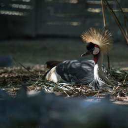 Hamburg_20160507_640