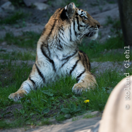 Hamburg_20160507_797
