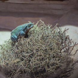 Hamburg_20160507_335