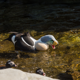 Hamburg_20160507_673