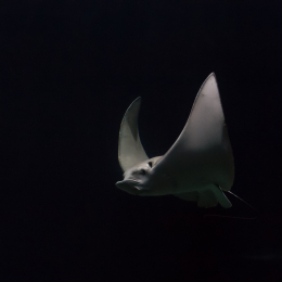 Hamburg_20160507_396