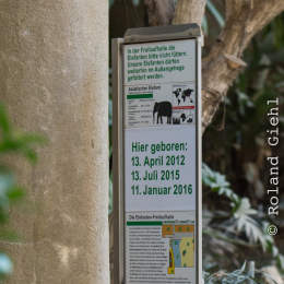 Hamburg_20160507_858