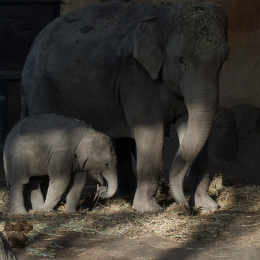 Hamburg_20160507_875