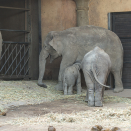 Hamburg_20160507_836