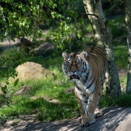 Hamburg_20160507_722
