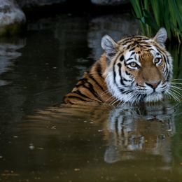 Hamburg_20160507_774