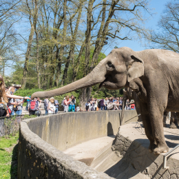 Hamburg_20160507_450