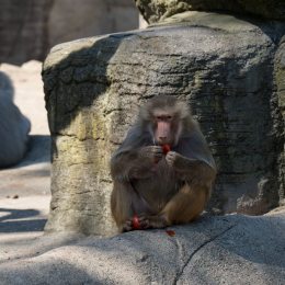 Hamburg_20160507_505