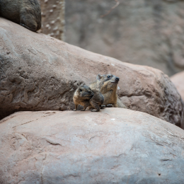 Hamburg_20160507_321