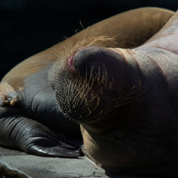 Hamburg_20160507_642