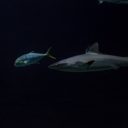 Hamburg_20160507_393