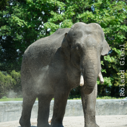 Hamburg_20160507_456
