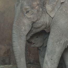 Hamburg_20160507_845