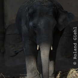 Hamburg_20160507_888