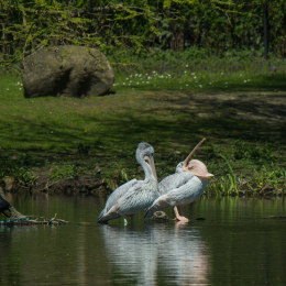 Hamburg_20160507_485