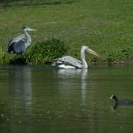 Hamburg_20160507_487