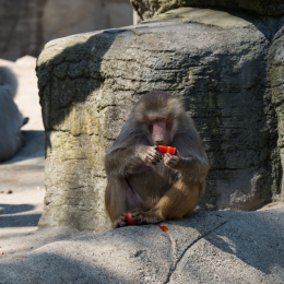 Hamburg_20160507_504