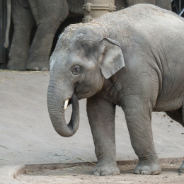 Hamburg_20160507_827