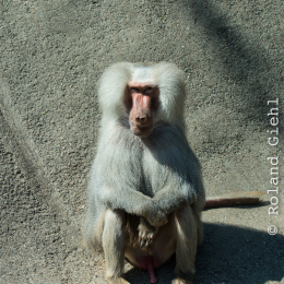 Hamburg_20160507_507