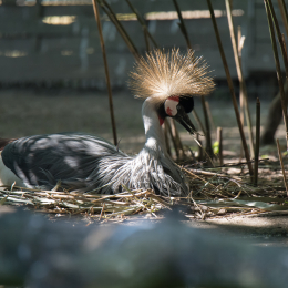 Hamburg_20160507_630