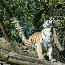 Hamburg_20160507_806