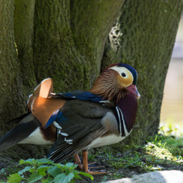 Hamburg_20160507_549